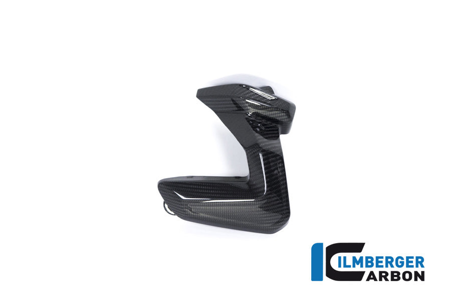 Ilmberger Carbon Spark Plug Cover Left Side BMW R 1250 GS / R 1250 R, And RS