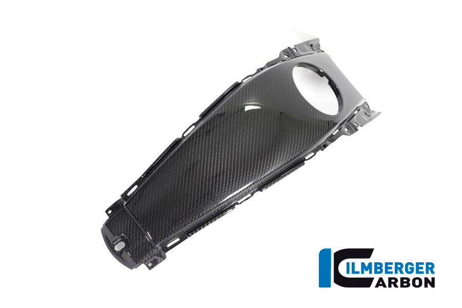 Ilmberger Carbon Tank Centre Panel - BMW K 1600 GT / K 1600 GTL / K 1600 Bagger