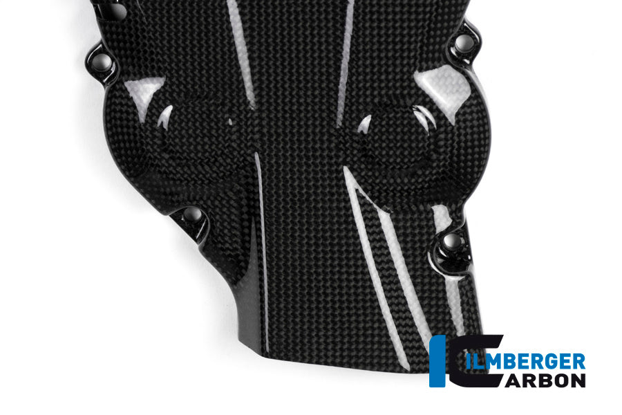 Ilmberger Carbon Vertical Timing Belt Cover Surface - Gloss