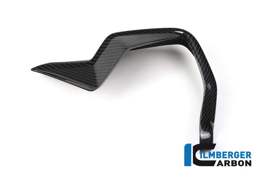 Ilmberger Carbon Hand Protector Right BMW S 1000 XR (All Years)
