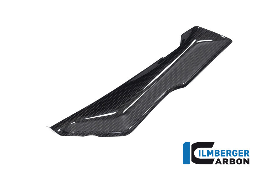 Ilmberger Carbon Cover Under The Front Fairing Left Side BMW R 1250 RS