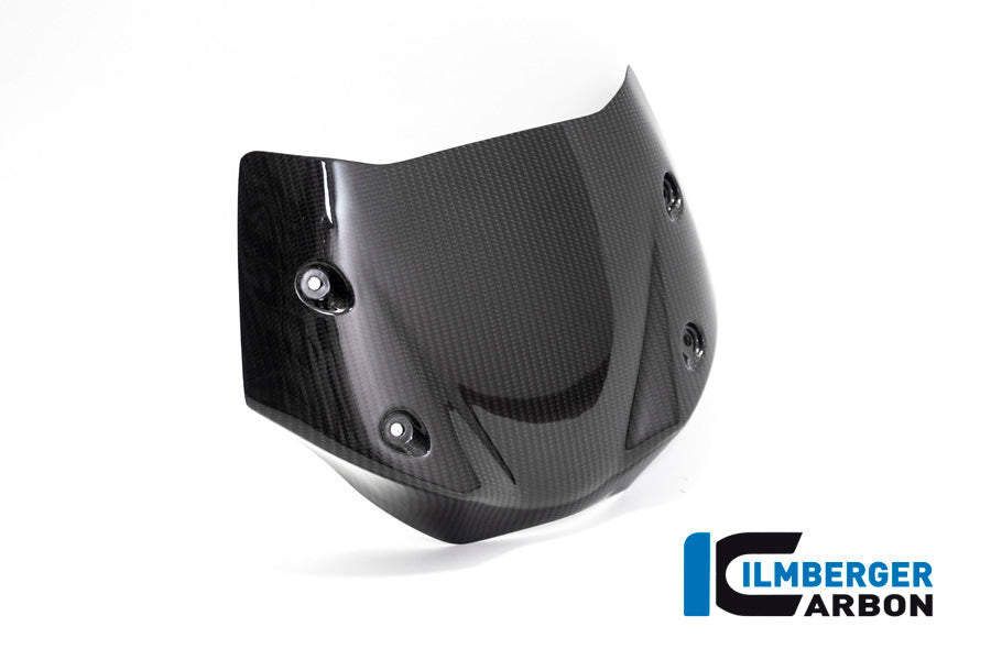 Ilmberger Carbon Windshield BMW R 1250 R 2019 - 2022
