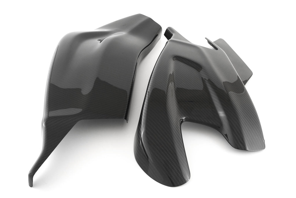 Fullsix Carbon Swingarm Guard - Set
