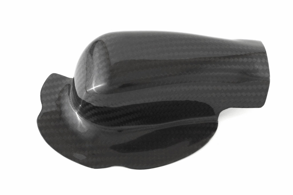 Fullsix Carbon Water Pump Protection Guard