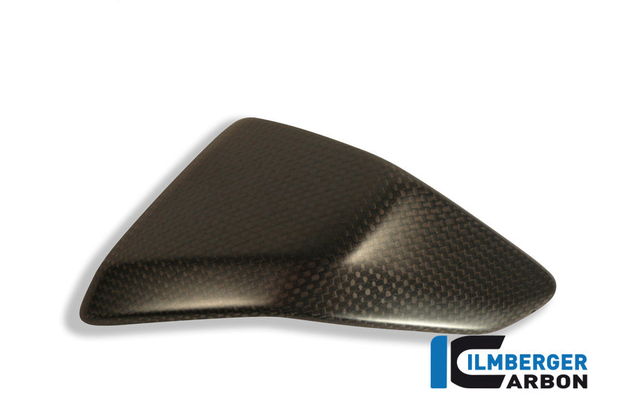 Ilmberger Carbon Right Side Fairing Insert Carbon