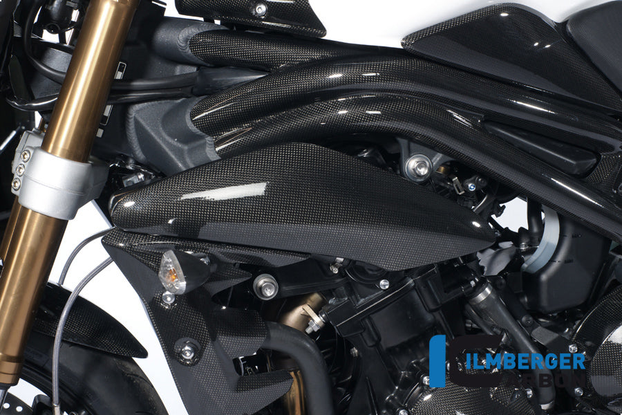 Ilmberger Carbon Side Cover Above The Radiator Left Carbon