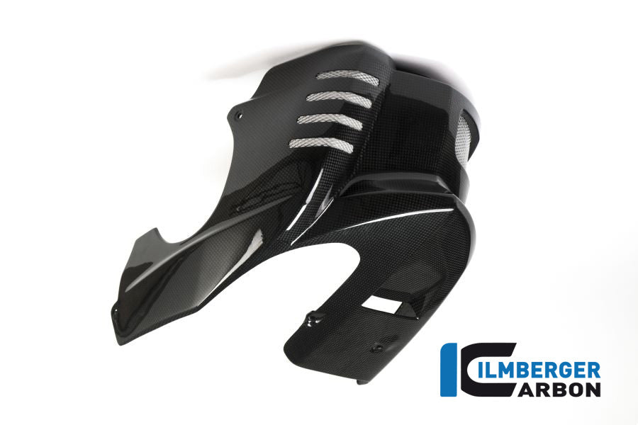 Ilmberger Carbon Bellypan BMW F 800 R (2009-2014) / S (2006-Now) / ST (2006-Now) / GT