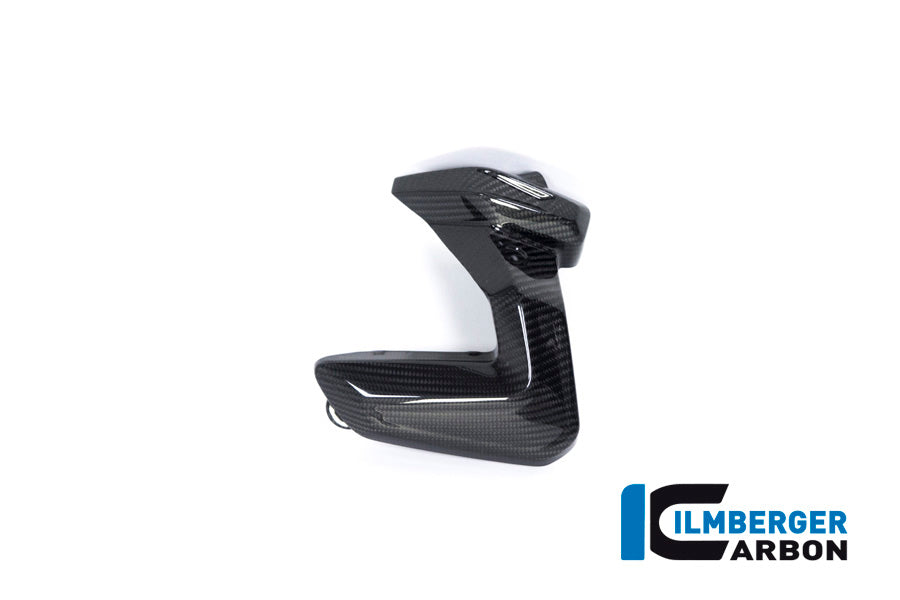 Ilmberger Carbon Spark Plug Cover Left Side BMW R 1250 GS / R 1250 R, And RS