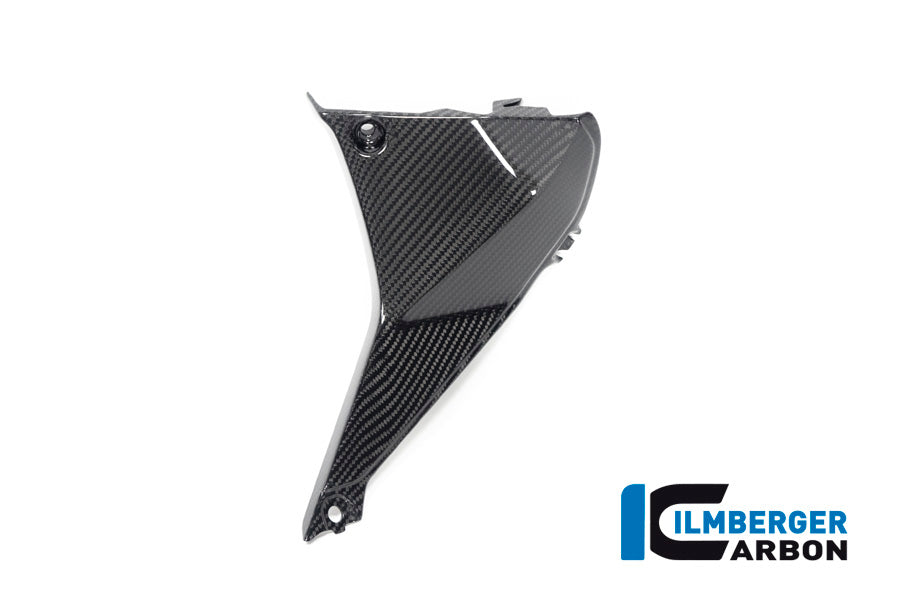 Ilmberger Carbon Cover Near The Instrument Right Side BMW R 1250 RS
