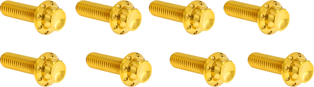 Arlen NESS Lifter Block Titanium 12-Point Bolt Kit