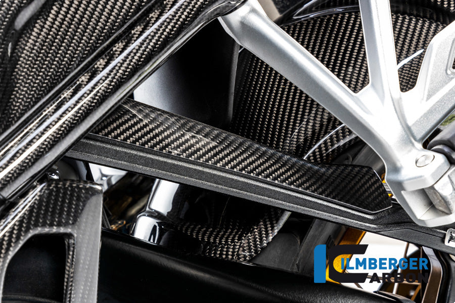 Ilmberger Carbon Brake-Pipe Cover BMW R 1250 GS