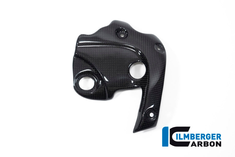 Ilmberger Carbon Exhaust Protection On The Manifold Ducati Diavel 1260
