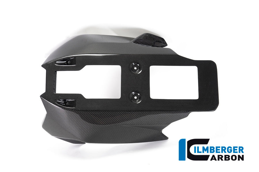 Ilmberger Carbon Bellypan BMW R 1250 R (LC) 2019