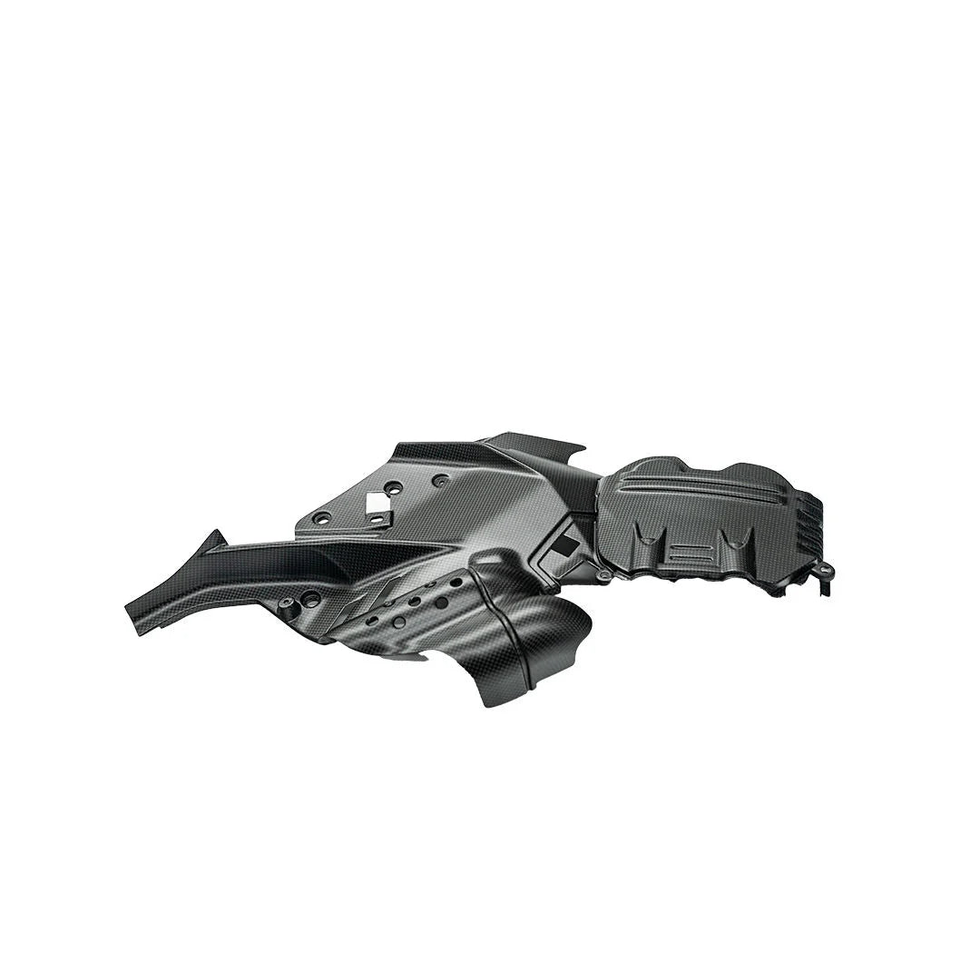 Ilmberger Carbon Fiber Satin Left Side Engine Cover For Ducati Diavel V4