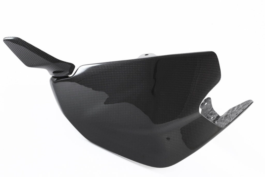 Fullsix Carbon Swingarm Guard