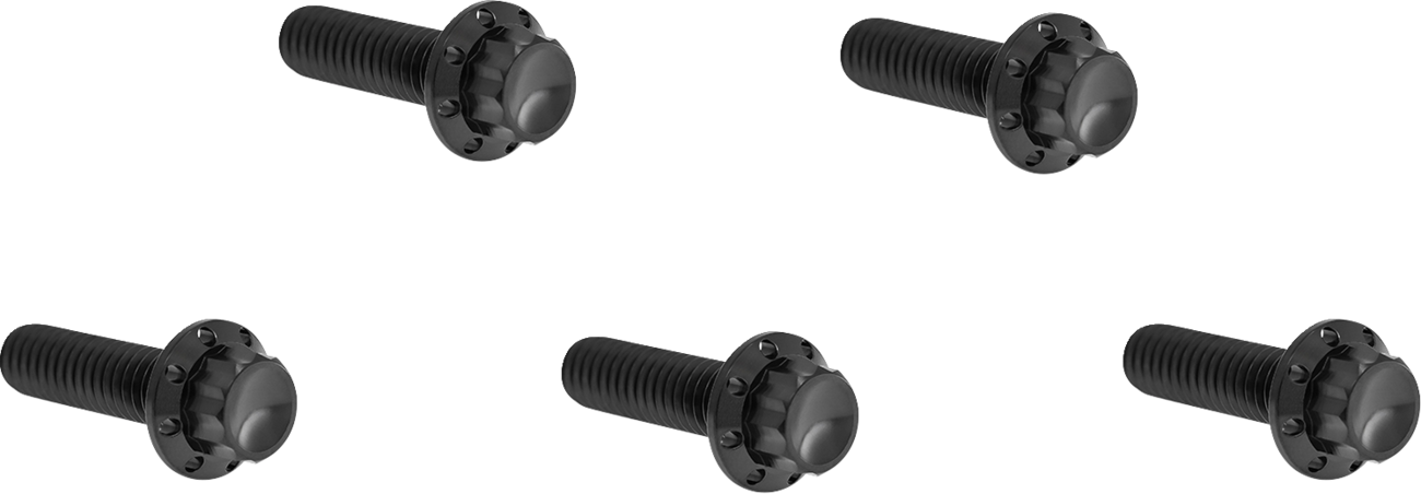 Arlen NESS Derby Cover Titanium 12-Point Bolt Kit