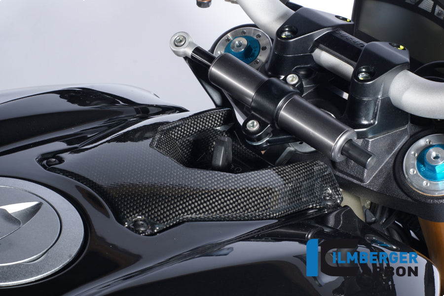Ilmberger Carbon Ignition Lock Cover Carbon