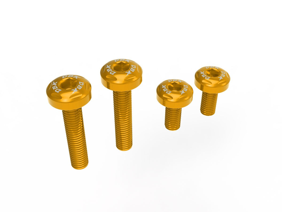 Ducabike DBK Ducati Streetfighter/Panigale V2 2025 Under-Tail Screw Kit