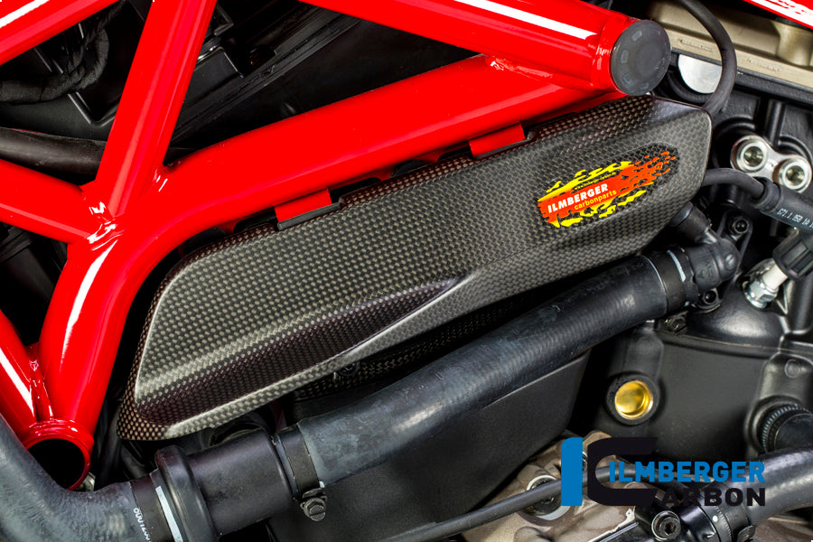 Ilmberger Carbon Cover Under The Frame Left - Matte