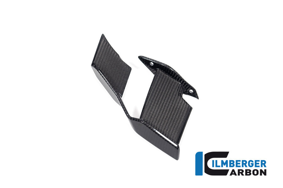 Ilmberger Carbon Winglet Left BMW M1000R 2023