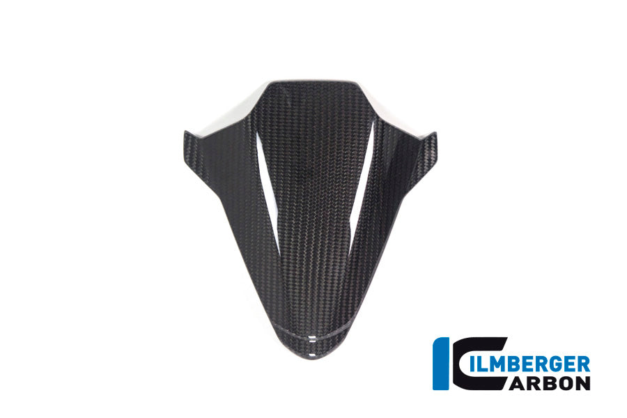 Ilmberger Carbon Instrument Cover BMW S 1000 RR MY 2019-2020