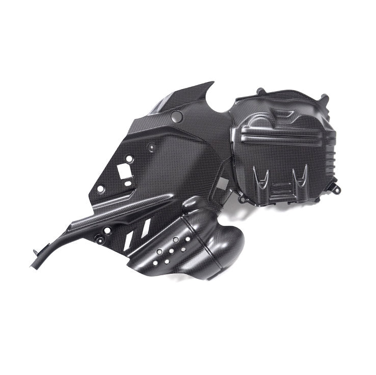 Ilmberger Carbon Fiber Left Side Engine Cover Ducati Diavel V4