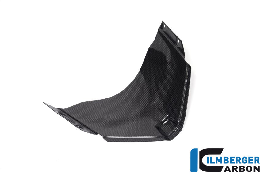 Ilmberger Carbon Panel Under The Front Fairing Ducati Panigale V4 Racing - Gloss