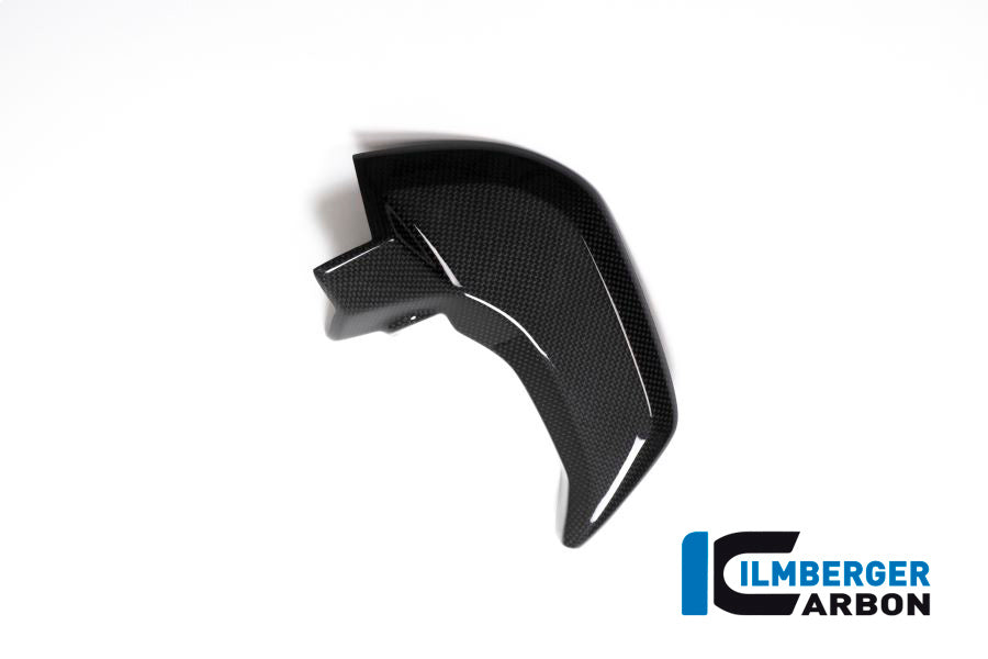 Ilmberger Carbon Cover Near The Instrument Right Side Surface - Gloss