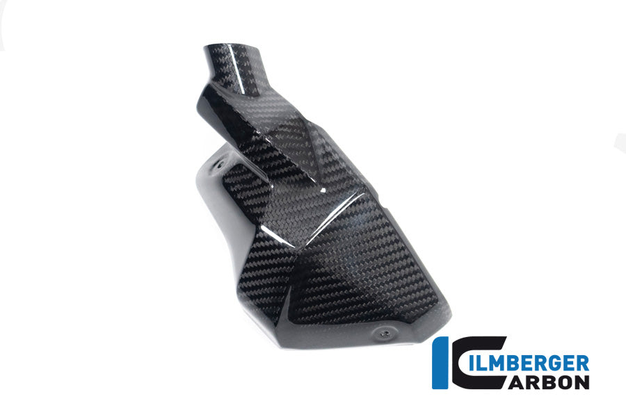 Ilmberger Carbon Injector Nozzle Cover Left BMW R 1300 GS