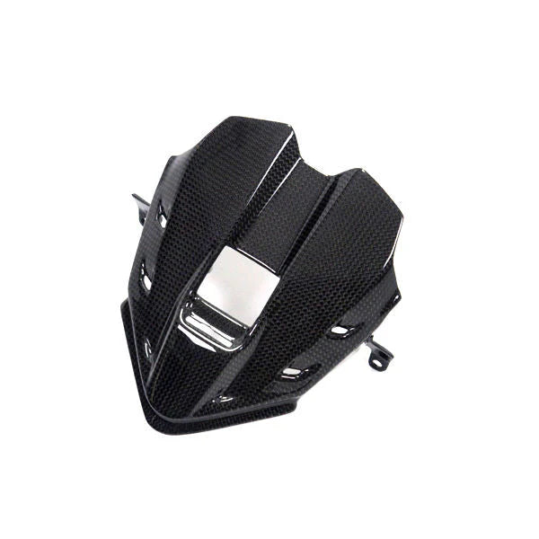 Ilmberger Carbon Instrument Cluster Dash Cover Ducati Panigale V4 V4S V4R Speciale