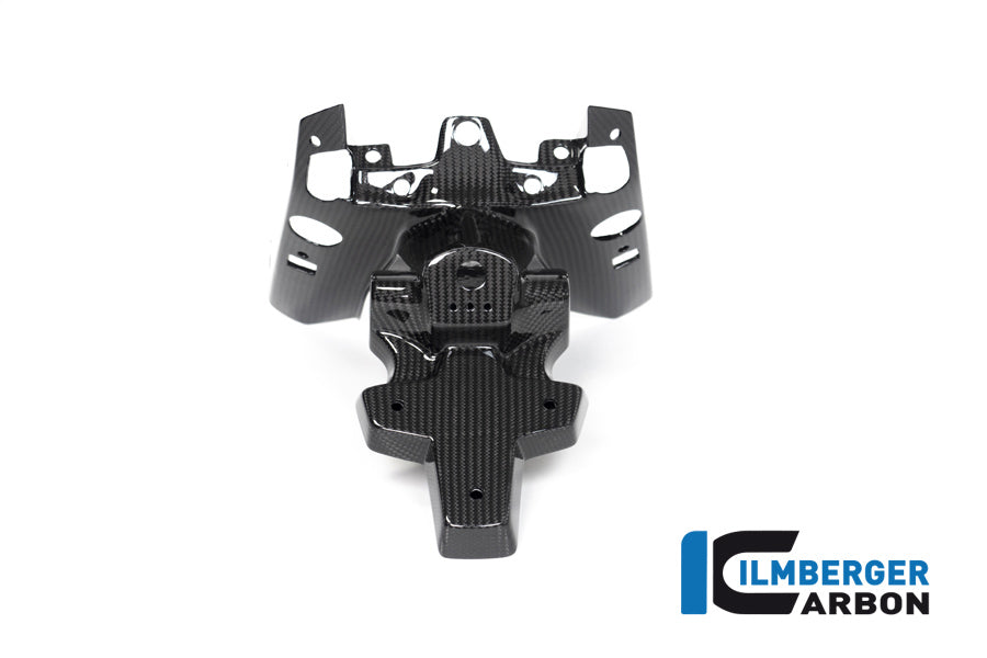 Ilmberger Carbon Numberplateholder (2 Pieces) BMW R 1250 R / R 1250 RS