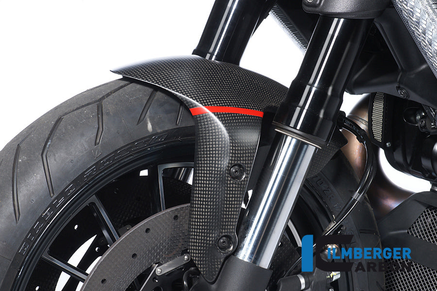 Ilmberger Carbon Front Fender Carbon Ducati Diavel