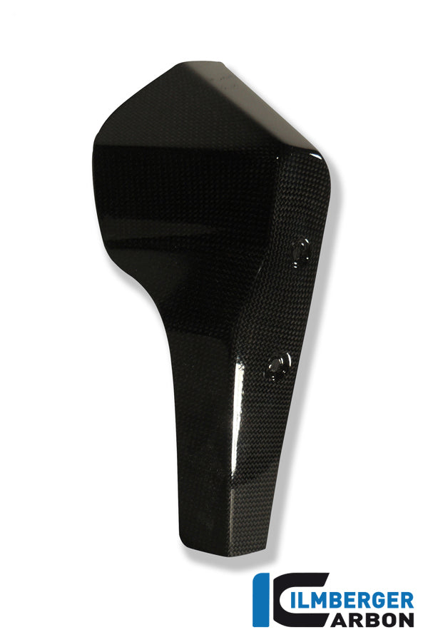 Ilmberger Carbon Water Radiator Cover Right Carbon