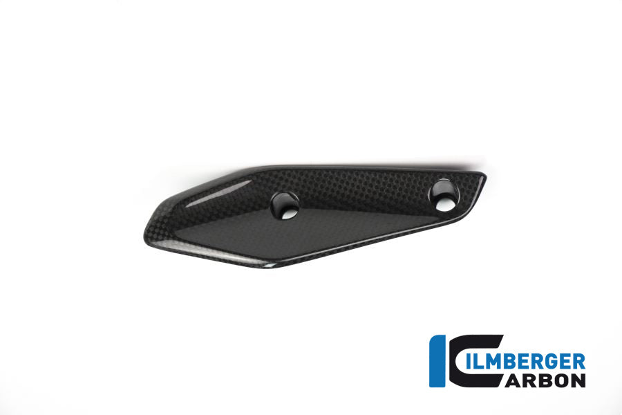 Ilmberger Carbon Verkleidungswinglet Rechts BMW R 1200 RS Bj 2015-2018