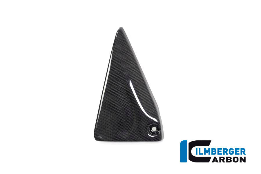 Ilmberger Carbon Frame Triangle Cover Left Side BMW R 1250 GS / R 1250 R And RS