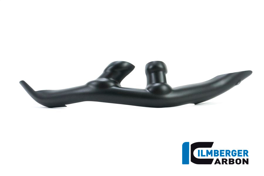Ilmberger Carbon Swing Arm Cover Set 2-Parts Ducati XDiavel 2016 3Tlg - Matte