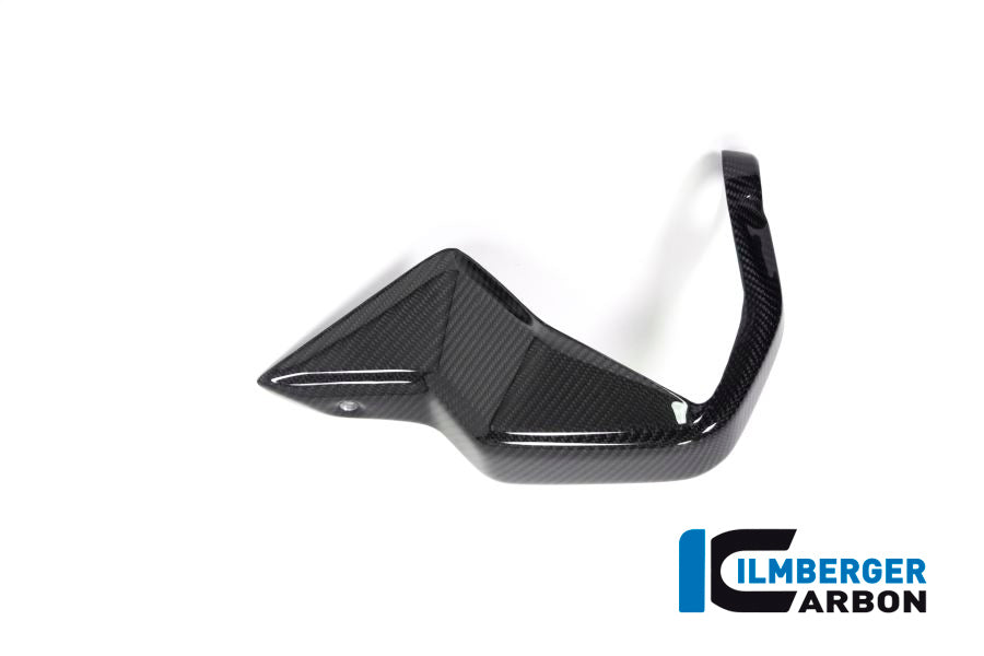 Ilmberger Carbon Hand Protector Left Side BMW R 1250 GS