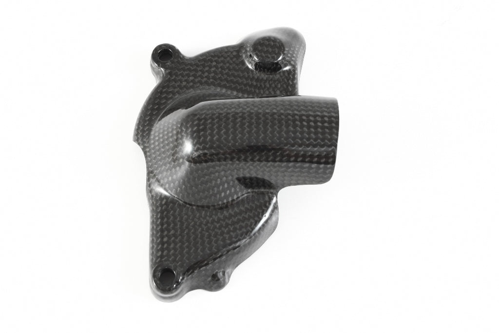 Fullsix Carbon Water Pump Protection Guard