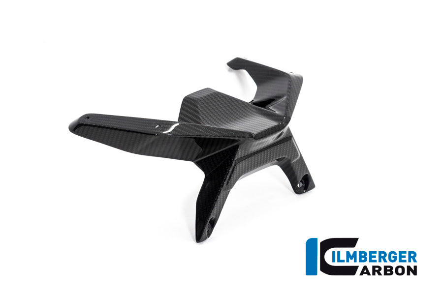 Ilmberger Carbon Windshield BMW R 1250 R 2019 - 2022
