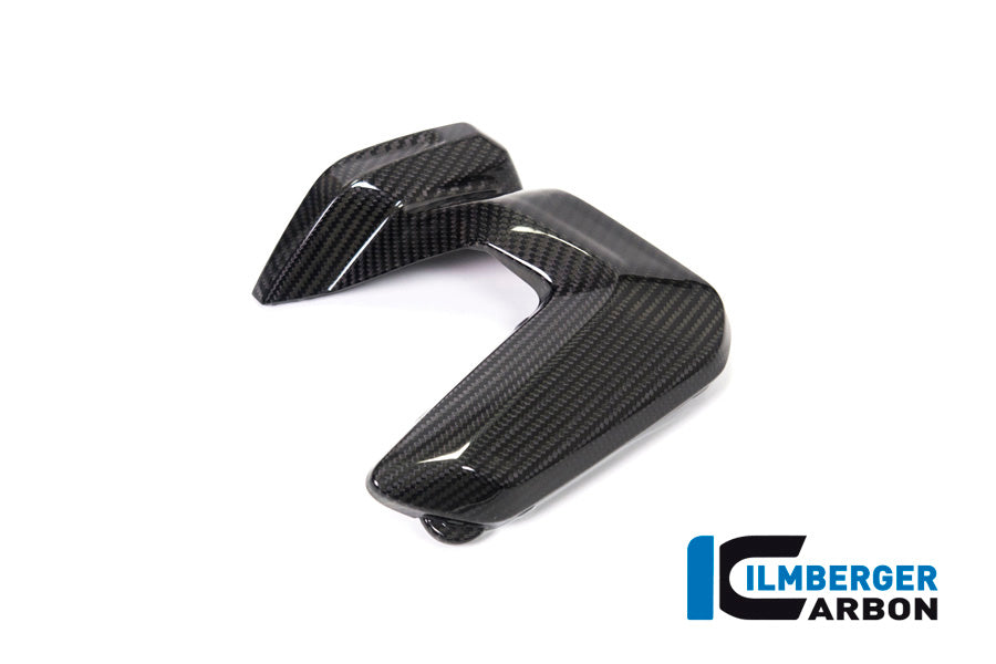 Ilmberger Carbon Spark Plug Cover Left Side BMW R 1250 GS / R 1250 R, And RS