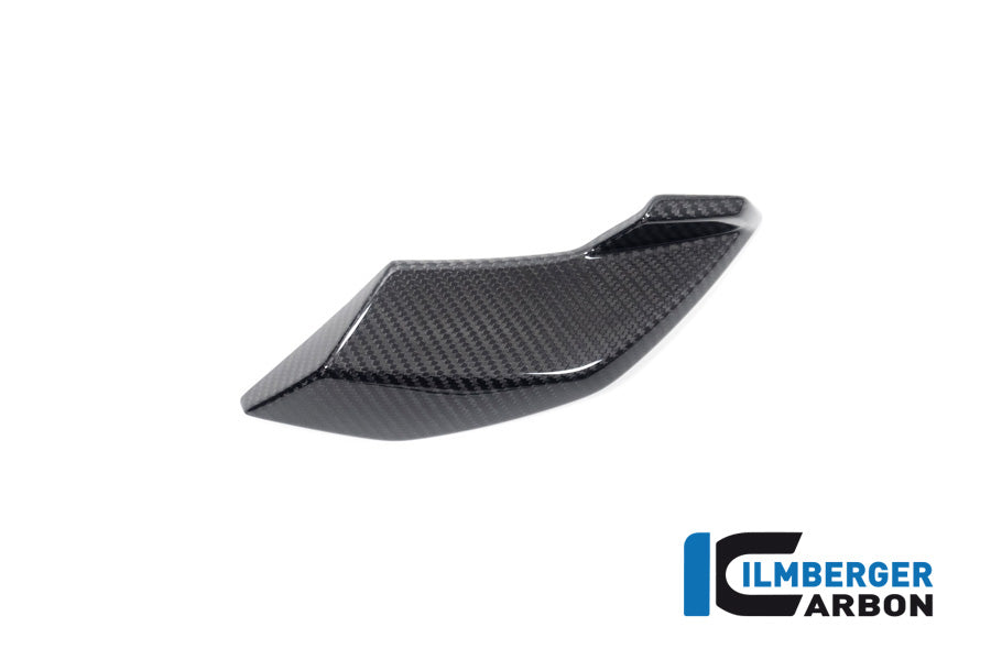 Ilmberger Carbon Side Cover Headlight Left Side BMW S 1000 R MY From 2021 / M 1000 R MY From 2023