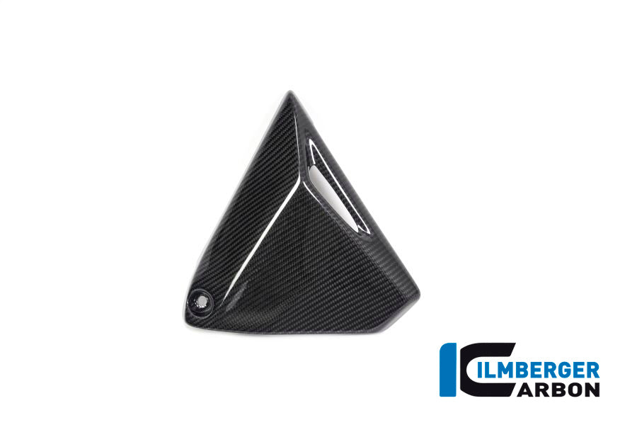 Ilmberger Carbon Frame Triangle Cover Right Side BMW R 1250 GS / R 1250 R And RS
