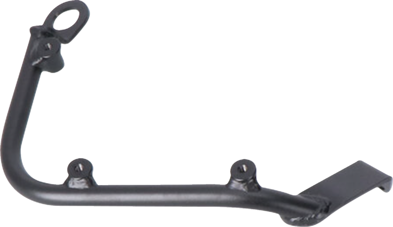 SW-Motech SLC Side Carrier - Left - BMW - R Nine T