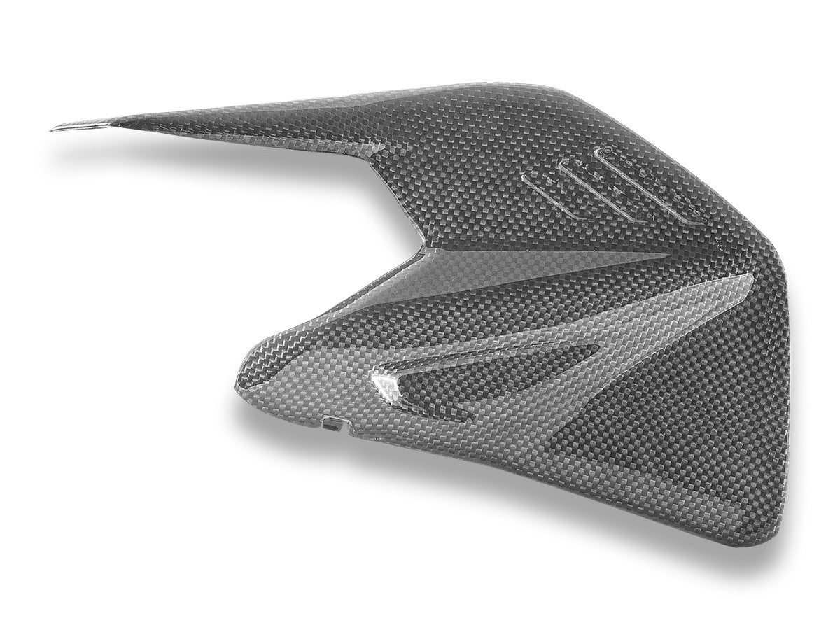 Ducabike DBK CRB234L PANIGALE/SF V4 MY25 Glossy Carbon Swingarm Protector