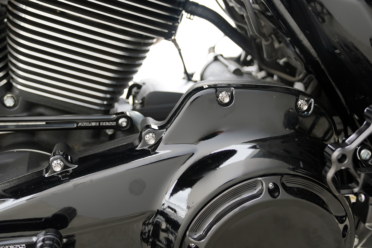 Arlen NESS Bolt Kit - Primary Cover - Titanium - 12-Point - FLT - Polished