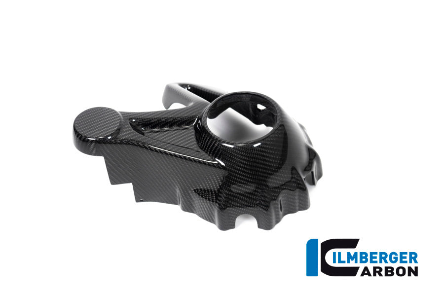 Ilmberger Carbon Bevel Drive Housing Protector (Mounting With Rear Splash Guard) BMW R 1250 GS / R 1250 R