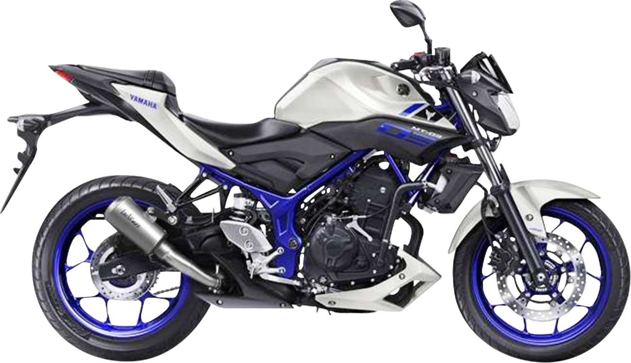LeoVince LV-10 Slip-On Muffler - YZF-R3 - Stainless Steel
