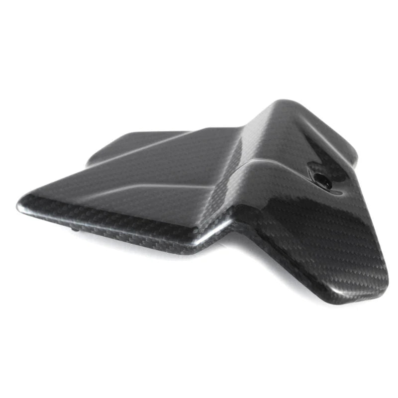 Fullsix Carbon Fiber Electronics Cover BMW S1000R M1000R K63