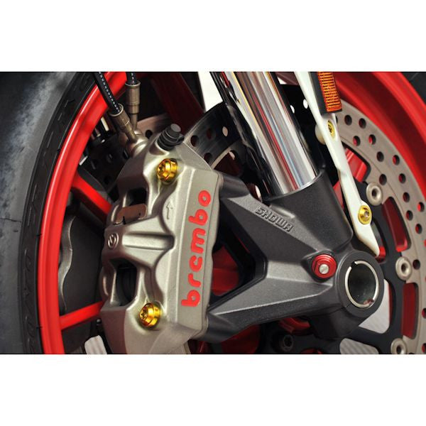Proti Titanium Front and Rear Brake Caliper Bolt Kit - 899 / 959 / 1199 / 1299