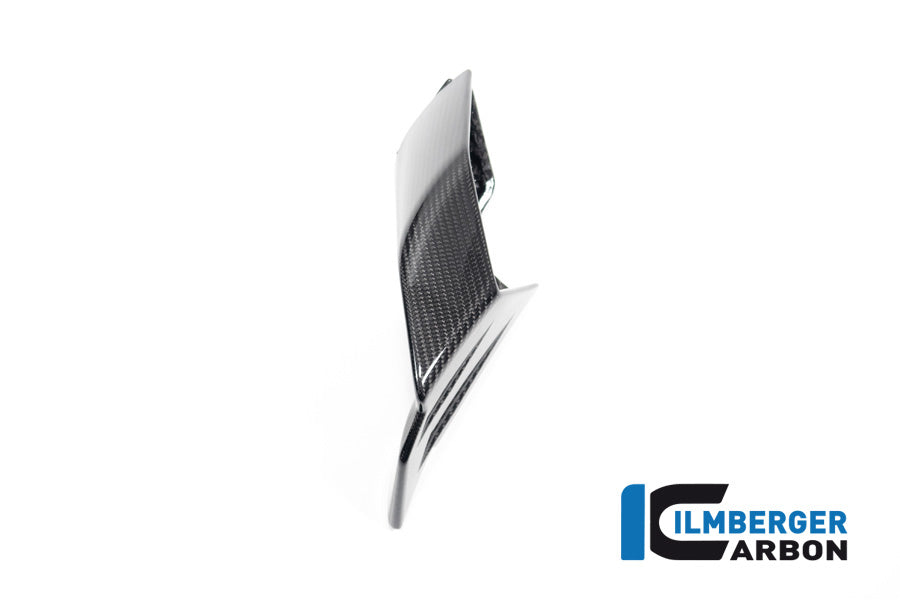 Ilmberger Carbon Wingletkit For BMW S 1000 RR From 2019